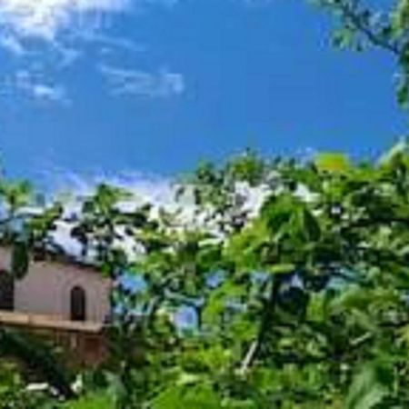 Il Gelsomino Home Holiday 알카모 외부 사진